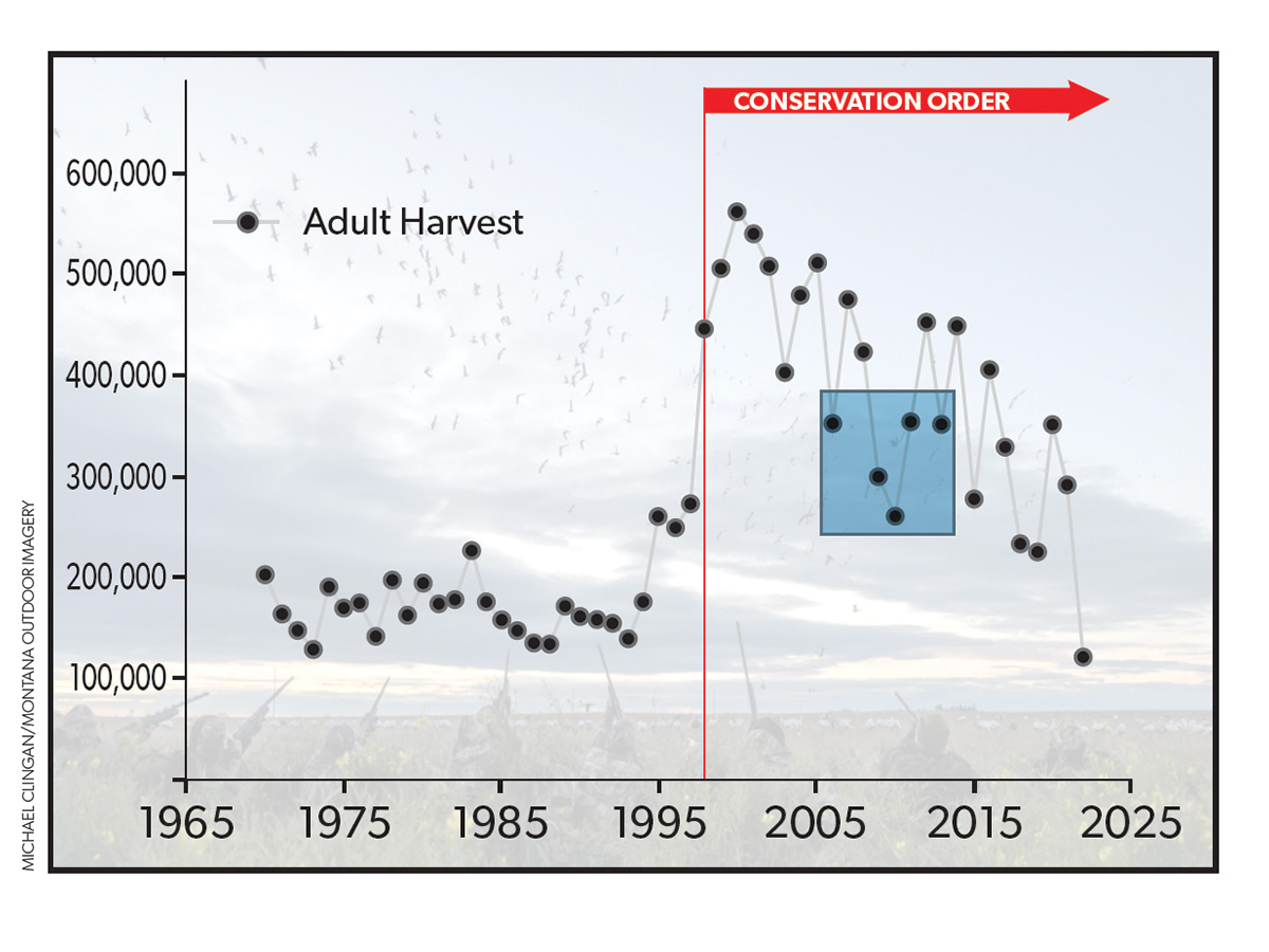 Snow Goose Harvest Chart.jpg